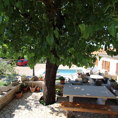 Apartments Vesna With Pool - New! Sveti Lovrec Pazenaticki Exterior photo
